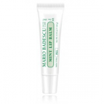Mario Badescu Lip Balm Mint toitev huulepalsam piparm&uuml;ndiga - 10 g.