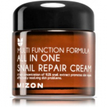 Mizon All In One Snail Repair Cream niisutav multifunktsionaalne n&auml;okreem - 120 ml.