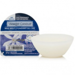 Yankee Candle Midnight Jasmine aroomivaha - 22 g.