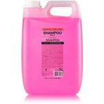 Stapiz Basic Salon Fruity Shampoo l&auml;iget lisav &scaron;ampoon - 5000 ml.