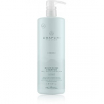 Paul Mitchell Awapuhi Wild Ginger Repair Nourishing toitev &scaron;ampoon - 1000 ml.