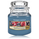 Yankee Candle Mulberry & Fig Delight l&otilde;hnak&uuml;&uuml;nal - 104 g.