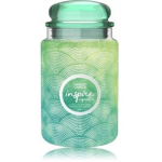 Yankee Candle Inspire Scent Of The Year 2022 l&otilde;hnak&uuml;&uuml;nal - 623 g.