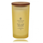 Chesapeake Bay Mind & Body Strength + Energy Pineapple Coconut l&otilde;hnak&uuml;&uuml;nal - 355 g.