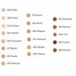 Laura Mercier Tinted Moisturizer Oil Free SPF20 tooniv niisutaja n&auml;ole - 4W1 Tawny