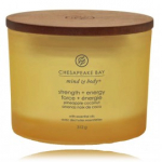 Chesapeake Bay Mind & Body Strength + Energy Pineapple Coconut l&otilde;hnak&uuml;&uuml;nal - 312 g.