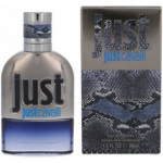 Roberto Cavalli Just Cavalli Him EDT meestele - 30 ml.