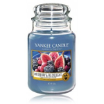 Yankee Candle Mulberry & Fig Delight l&otilde;hnak&uuml;&uuml;nal - 623 g.