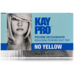 KayPro No Yellow Bleaching Powder Dust Free juuste pleegituspulber - 500 g.