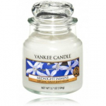 Yankee Candle Midnight Jasmine l&otilde;hnak&uuml;&uuml;nal - 104 g.