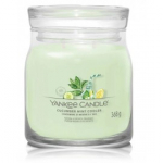 Yankee Candle Cucumber Mint Cooler l&otilde;hnak&uuml;&uuml;nal - 368 g.