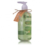 Accentra Botanic Spa Hand Soap vedel k&auml;teseep - 290 ml.