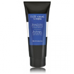 Sisley Hair Rituel By Sisley Pre-Shampoo Purifying Mask puhastav juuksemask - 200 ml.