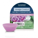 Yankee Candle Wild Orchid aroomivaha - 22 g.
