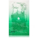 AXIS-Y 61% Mugwort Green Vital Energy Complex lehtmask n&auml;ole - 1 tk.