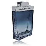 Salvatore Ferragamo Subtil pour Homme EDT meestele - 50 ml.