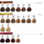 L'oreal Professionnel DiA Richesse professionaalne juuksev&auml;rv 50 ml - 6,34 - Honey Chestnut