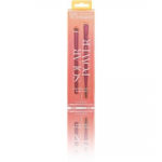 Real Techniques Solar Power Smolder Eye + Brow Duo silma- ja kulmumeigikomplekt - 1 vnt.