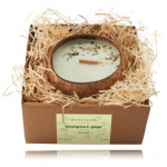 Tropicandle Lemongrass & Ginger Candle l&otilde;hnak&uuml;&uuml;nal - 350 ml.