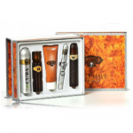 Cuba Cuba Must Have Gold komplekt meestele (100 ml EDT + 35 ml EDT + 100 ml habemeajamisj&auml;rgne palsam + 200 ml du&scaron;igeel + 200 ml deodorant)