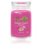 Yankee Candle Signature Collection Art In The Park l&otilde;hnak&uuml;&uuml;nal - 567 g.