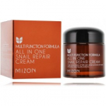 Mizon All In One Snail Repair Cream niisutav multifunktsionaalne n&auml;okreem - 75 ml.