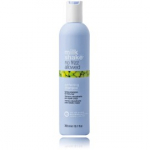 MilkShake No Frizz Allowed Perfecting Shampoo &scaron;ampoon kahustele / t&otilde;rksatele juustele - 300 ml.