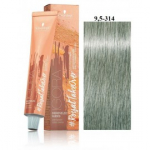 Schwarzkopf Professional Igora Royal Take Over Disheveled Nudes professionaalne juuksev&auml;rv 60 ml - 9,5-314 Matt Cendr&eacute; Beige