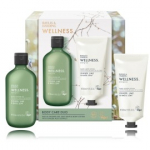 Baylis & Harding Wellness Body Care Duo kehakomplekt (300 ml vanni- ja du&scaron;igeel + 200 ml k&auml;te- ja kehakreem) - Komplekt