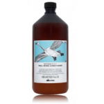Davines NaturalTech Well-Being niisutav palsam - 1000 ml.