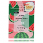 Re:heal Watermelon Quenching & Plumping Effect Sheet Mask lehtn&auml;omask arbuusiekstraktiga - 2 tk.
