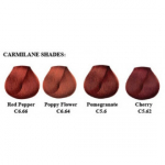 L'oreal Professionnel iNOA Carmilane professionaalne juuksev&auml;rv 60 ml - C4,62 - Ch&acirc;tain Rouge Iris&eacute;