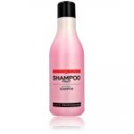 Stapiz Basic Salon Fruity Shampoo l&auml;iget lisav &scaron;ampoon - 1000 ml.