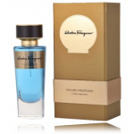 Salvatore Ferragamo Tuscan Creations E Pur Si Muove EDP Parf&uuml;&uuml;m Naistele ja meestele - 100 ml.