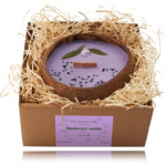 Tropicandle Blueberry & Vanilla Candle l&otilde;hnak&uuml;&uuml;nal - 350 ml.