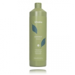 Echosline Energy Shampoo energiat andev &scaron;ampoon n&otilde;rkadele ja &otilde;hukestele juustele - 1000 ml.
