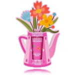 Accentra Garden Dreams Hand & Nail Cream k&auml;te- ja k&uuml;&uuml;nekreem - 20 ml.