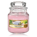 Yankee Candle Sunny Daydream l&otilde;hnak&uuml;&uuml;nal - 104 g.