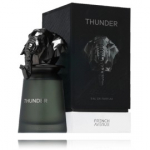 French Avenue Thunder EDP meestele - 100 ml.