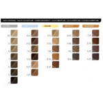 Revlon Professional Revlonissimo Anti Age Technology High Coverage juuksev&auml;rv - 6.34 Dark Blonde Hazelnut