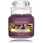 Yankee Candle Moonlit Blossoms l&otilde;hnak&uuml;&uuml;nal - 104 g.