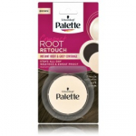 Palete Compact Root Retouch v&auml;ljakasvanud juuksejuurte korrektor - 3 g.