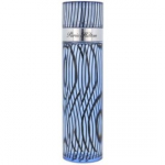 Paris Hilton Paris Hilton for Men EDT meestele - 100 ml.