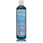 Bio&eacute;lixire Essential Lamellar Conditioner lamellaarne palsam n&otilde;rkadele / tuhmidele juustele - 300 ml.
