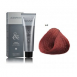 Allwaves Color Cream professionaalne juuksev&auml;rv 100 ml - 6.6 Purple red