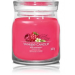 Yankee Candle Signature Collection Red Raspberry l&otilde;hnak&uuml;&uuml;nal - 368 g.