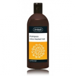 Ziaja Sunflower Shampoo &scaron;ampoon v&auml;rvitud juustele - 500 ml.