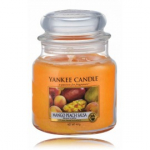 Yankee Candle Mango Peach Salsa l&otilde;hnak&uuml;&uuml;nal - 411 g.