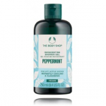 The Body Shop Peppermint Invigorating Shower Gel jahutav du&scaron;igeel - 250 ml.