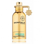 Montale Paris Aoud Lagoon EDP meestele ja naistele - 50 ml.